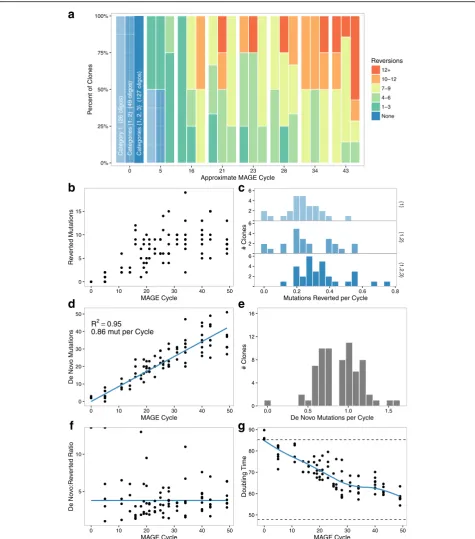 Fig. 2 Mutation dynamics over many cycles of MAGE allele reversion. a Increase in combinatorial diversity and reversion count vs