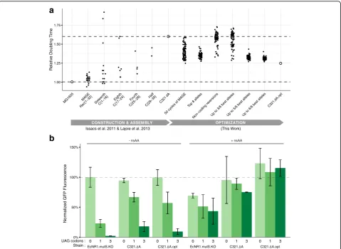 Fig. 4 Construction and characterization of final strain C321.suspended in phosphate buffered saline (PBS) for each sample and normalizing to the fluorescence ratio of non-recoded strain EcNR1.mutS.KO expressing 0ΔA.opt