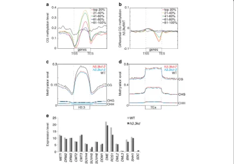 Fig. 2 Depletion of DNA methylation over gene bodies and H3.3-enriched regions ineprofiles of DNA methylation in WT,transcription start site (methylation levels over gene bodies inexpressed genes