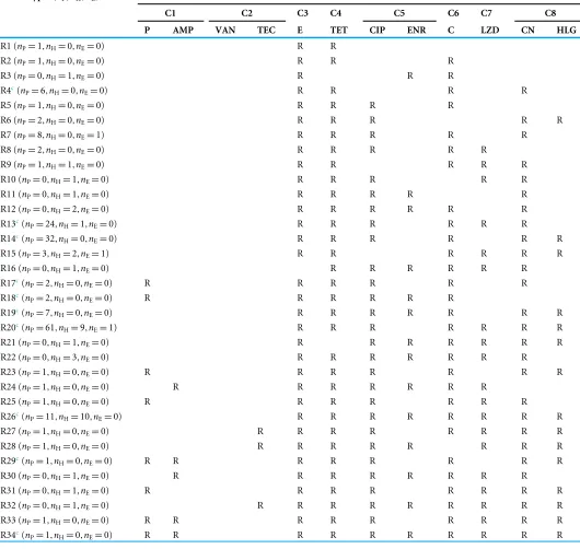Table 1Resistotypes of Enterococcus faecium strains based on the classes of antibiotics tested.