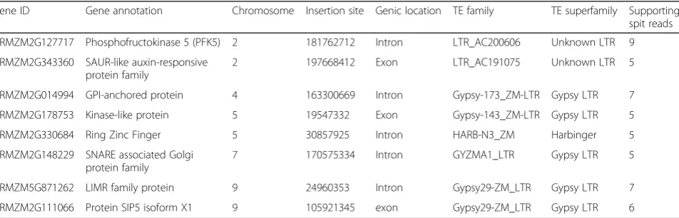 Table 1 EpiTEome-identified non-reference TE insertions in maize Oh43 genes compared to the B73 reference