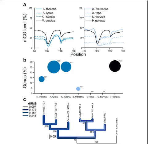 Fig. 2 Non-neutral evolution of CMT3 in the Brassicaceae is correlated with reduced levels of genic mCG and numbers of gbM loci