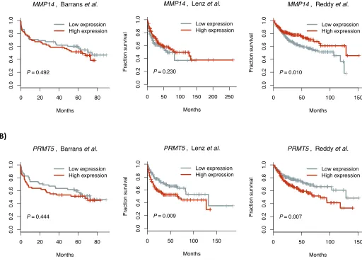 Figure S4. Kaplan-Meier survival analysis of (A) MMP14 and (B) PRMT5 expression (the two genes with expression signiﬁcantly associated with survival in the Cox proportional hazards model analysis) in data sets from Barrans et al