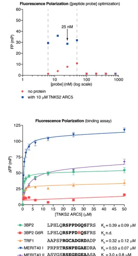 Fig. 3 Assessing ARC–TBM peptide interactions by fluorescence polarization. (a) Optimization of the peptide probe (3BP2) concentration for the FP binding assay