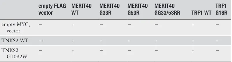Table 3 Chart for co-transfection of HEK293T cells for co-immunoprecipitation. The indicated FLAG/FLAG