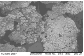 Figure 4.  ATR image of S.platensis before biosorption of fluoride 
