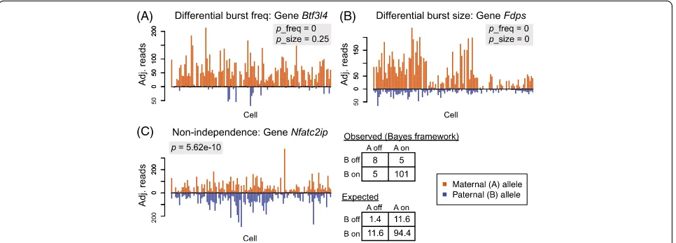 Fig. 4 Examples of significant genes from hypothesis testing. a The two alleles of the gene have significantly different burst frequencies from thebootstrap-based testing