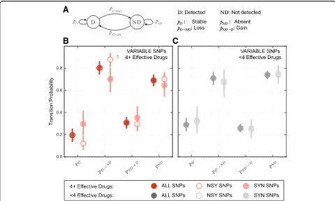 Fig. 4 Allele dynamics in patients are congruent with purifying selection acting on MTBC populations treated with an efficacious drug combination.transition probability by re-sampling (N = 1000) the data with replacement