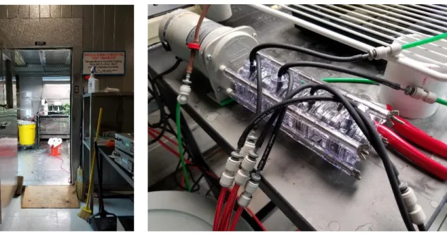 Figure 3. Magenta boxes containing  transferred plant material in IBA/BA  SGM. Continuous lightning from AIBC LED  Grow Light fixtures and ambient environment  temperature were maintained throughout this  study