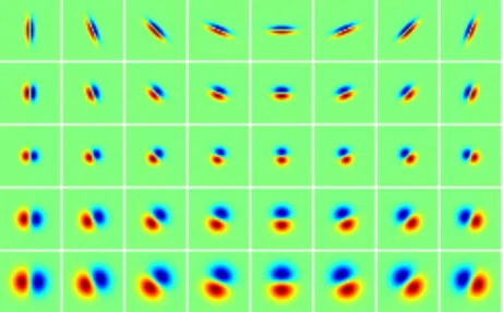 Figure 2. Examples of discrete normalized first derivative of anisotropic Gaussian (FDAG) kernels.