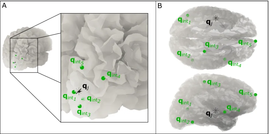Fig 1. “Brain noise” sources. Schematic showing a single example of the relative locations of the source of interest (black) and theinterference generators (green)