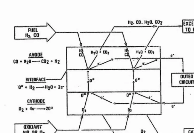 Figure Schematic diagram of reactions occuring in SOFC’s 