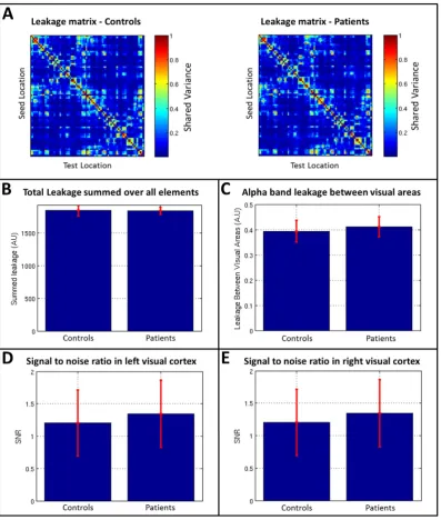 Fig. A1. Testing for leakage and signal to noise ratio between control and patient groups