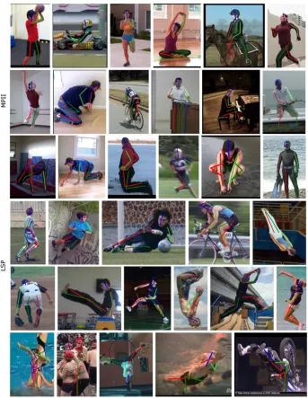 Fig. 7: Examples of poses obtained using our method on MPII (ﬁrst 3 rows), andLSP (4th and 5th row)