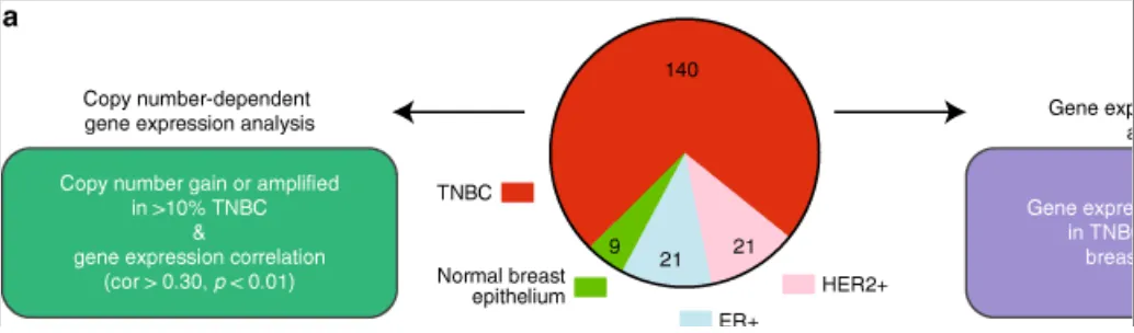 Fig. 1Integrative gene addiction identification and validation. Schematic representation