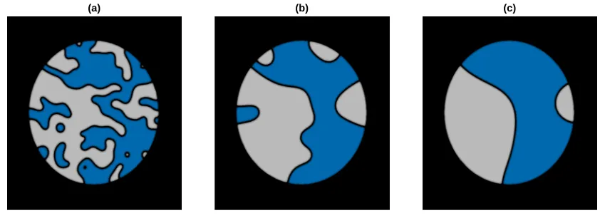 Figure 2.indicate the value of the scalar ﬁeld. Blue and grey regions represent the positive and negativesymmetry broken vacua respectively, and in the black regions the symmetry is restored atφA two dimensional domain wall network inside a circular cavity