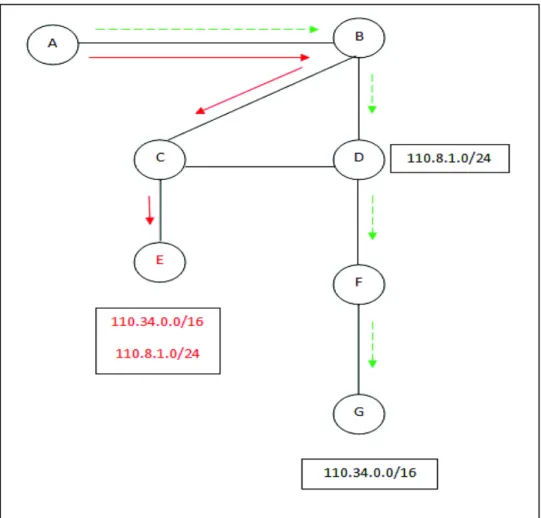 Fig 1.1 Malicious attack using address prefix 