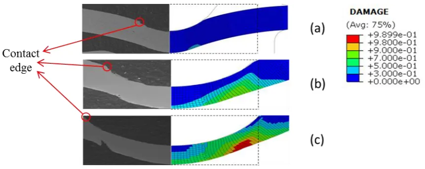 Figure 10. SEM images from ref. [2] for a small punch creep test, for a P91 steel at 600 °C with a load of 25 kg,  interrupted after (a) 2 hours (