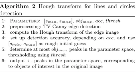 Figure 1 shows clearly that the scale of the images