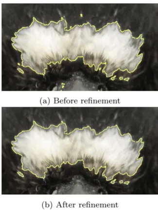 Fig. 8: Training dictionary for blaze segmentation. Asin Figure 7 blazes are manually selected by the user andlabelled with 1, while black feathers on the backgroundare labelled with −1.