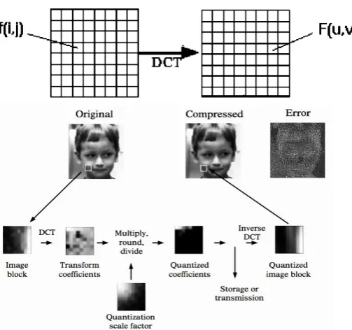 Fig. 1  Image transformation from the spatial domain to the frequency domain  [8].  