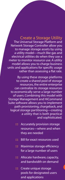 Figure 2: Through partitioning, you can create as many as 32 Private Virtual Storage Machines (Universal Storage Platform) or 8 Private Virtual Storage Machines (Network Storage Controller) from internal and attached storage, each with dedicated capacity, 