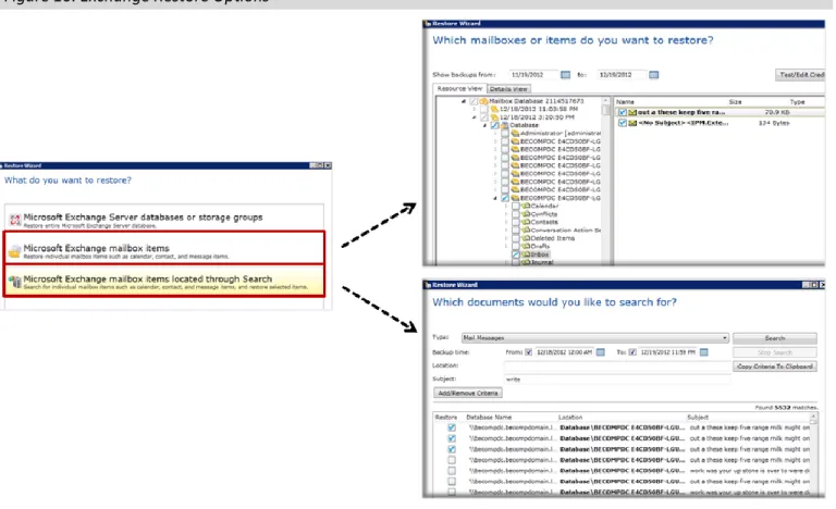 Figure 10. Exchange Restore Options 
