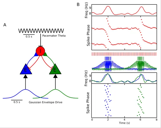 Figure 6. Recruitment of an interneuron for phase precession by multiple pyramidal cells