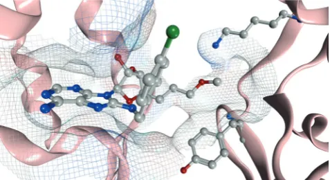Figure 6. a) Trypsin-digest MS/MS indicating modification of HSP72-NBD with 8 at residue Cys267 (precursor ion 356.47563+, error�0.84 ppm) b) Proposed schematic of fragmentation of 8 upon MS/MS.