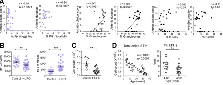 Fig. S2.  Relationship of synovial macrophages with arthritis activity, differentiation and age, and reduced alveolar  macrophages