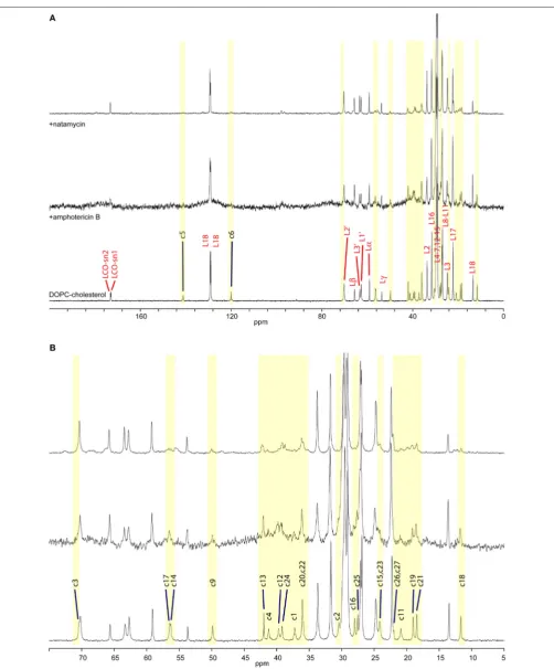 FIGURE 2 | High-resolution 13C MAS NMR spectra of hydrated DOPC/cholesterol membranes: (A) full spectrum showing lipid resonances and somecholesterol resonances; membrane alone (bottom); with amphotericin B (middle); and with natamycin (top); (B) aliphatic/ring region expanded,showing cholesterol assignment.