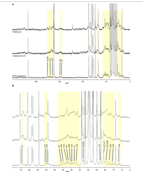 FIGURE 3 | High-resolution ergosterol resonances; membrane alone (bottom); with amphotericin B (middle); and with natamycin (top); (B) aliphatic/ring region expanded,13C MAS NMR spectra of hydrated DOPC/ergosterol membranes: (A) full spectrum showing lipid resonances and someshowing ergosterol assignment.