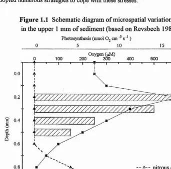 Figure 1.1 Schematic diagr am of microspatial variation 