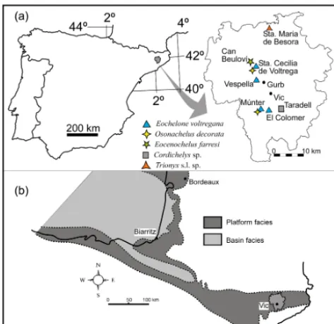 Figure 1. (a) Geographical map showing the localities with turtlethe studied area during the upper Eocene (Bartonian–Priabonian)remains from Osona County, (b) paleogeographic reconstruction ofmarine sedimentation (modiﬁed from Plaziat, 1981).