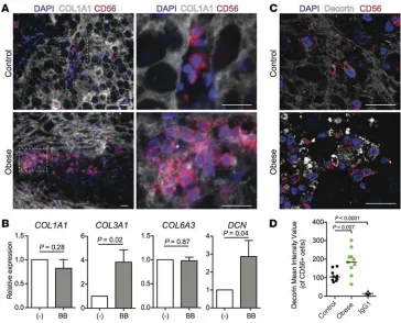 Figure 6. PDGF controls expression of collagen-associated genes in uterine NK (uNK) cells