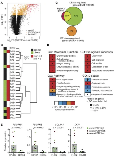 Figure 4. Differential gene expression (DE) between uterine NK (uNK) cell control- and obese-enriched groups