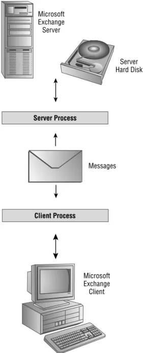 Figure 2.11 Microsoft Exchange is based on the client/server model. MicrosoftExchangeServer Microsoft Exchange Client Server Hard DiskServer ProcessClient ProcessMessages