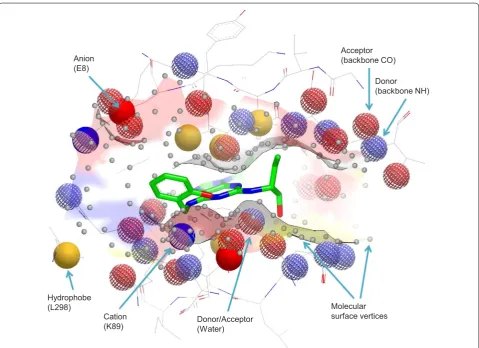 Fig. 1yellow). Surface vertices also encode the shape of the binding site (gray). Image produced using VIDA [17 of a bound green)