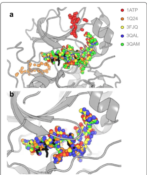 Fig. 3 fpocket cavity detection exemplified for the ATP-binding site of an aligned ensemble of five ATP-bound cAMP-dependent protein kinases; overlaid on an exemplar structure with the ATP ligand shown in black sticks (PDB ID: 1ATP)