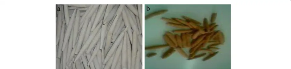 Figure 1 Pemba samples from (a) Musoma and (b) Kigoma; the difference in color is attributable to the increased levels of iron inthose from Kigoma.