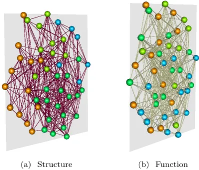 Fig. 1: An example multiplex brain network, indicating (a) theunderlying structural network (the known cortical network ofthe Macaque monkey) and (b) a functional network derivedfrom synchronisation of neural populations governed by (1).