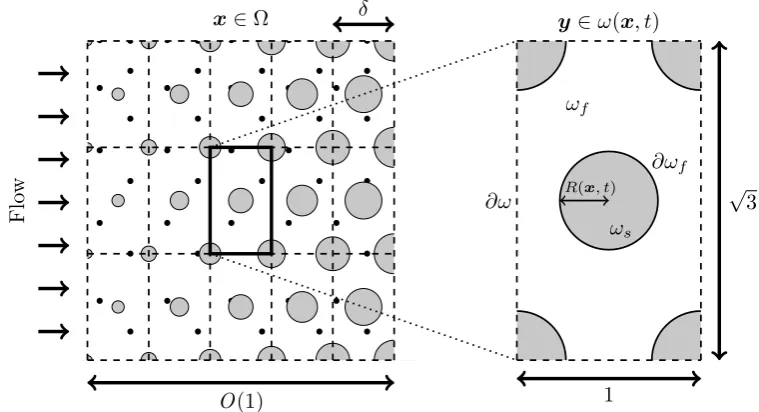 Figure 1. Model schematic in two dimensions. Left: An example in which the macroscaleporosity decreases in the direction of the ﬂow