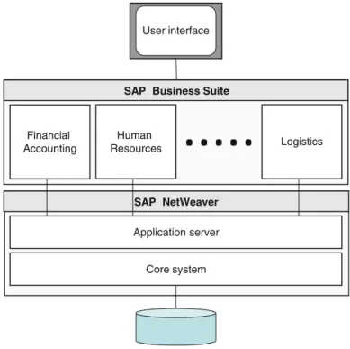 Figure 2.1 depicts the basic software layers of an SAP system.