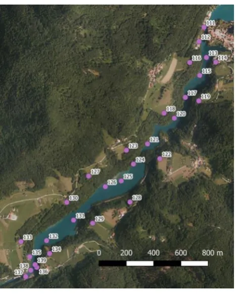 Figure 3. Emptied drains and banks. 