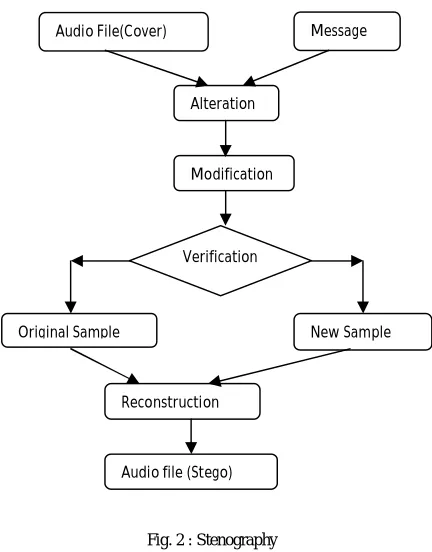 Fig. 2 : Stenography 