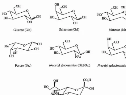 Figure 1.1 - Schematic representation of the most commonly found constituent monosaccharide units of 