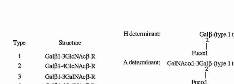 Figure 1.5 - Acceptors for the synthesis of, and structures of the ABH determinants.