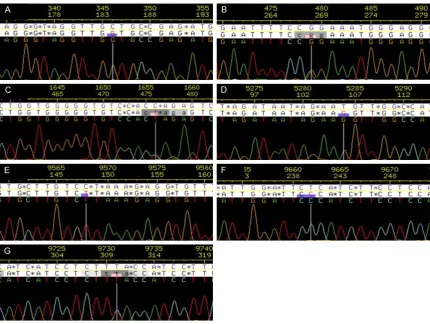 Figure 2. Seven novel SNP loci of KIR2DL4 were confirmed by DNA sequencing analysis. A