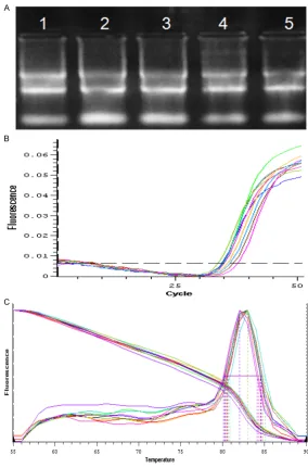 Figure 4. KIR2DL4 mRNA level in preeclamptic patients and healthy controls was detected by QRT-PCR.