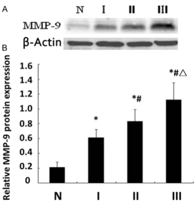 Figure 1. Expression of MMP-9 in NP tissues. A. Showed representative bands of Western blotting; B